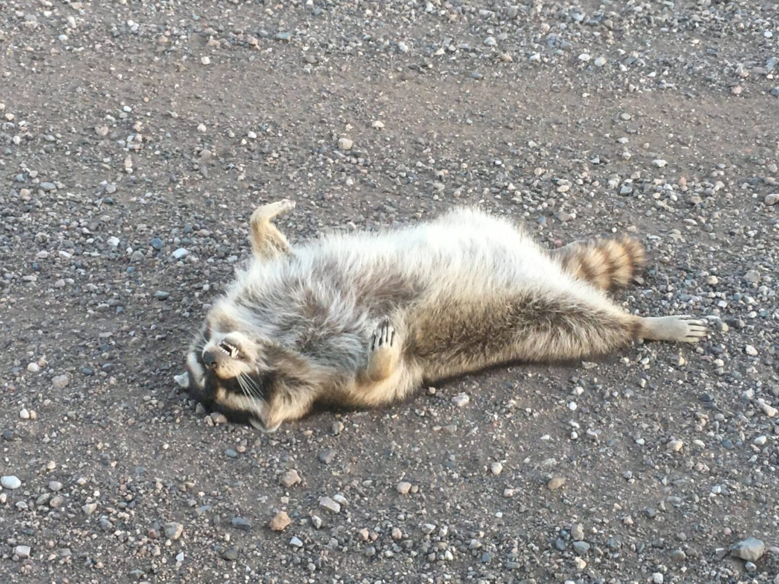 Hello Uncategorized Post